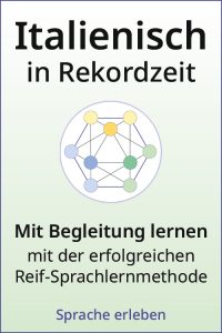 it-de-begleitung